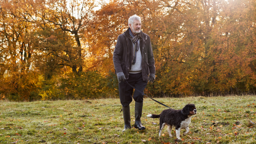 Lätt fysisk aktivitet, som promenader, har effekt på de vanliga riskfaktorerna för svår stroke som exempelvis diabetes, blodtryck och blodfetter.  Foto: Shutterstock